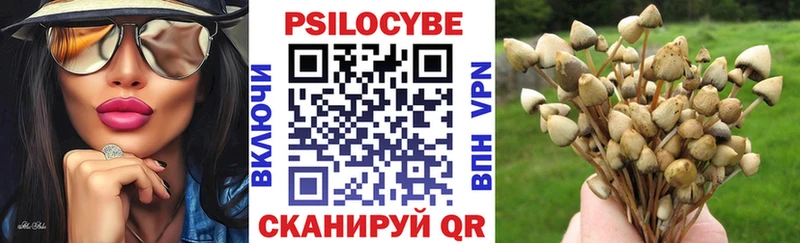 OMG рабочий сайт Приволжск Галлюциногенные грибы прущие грибы